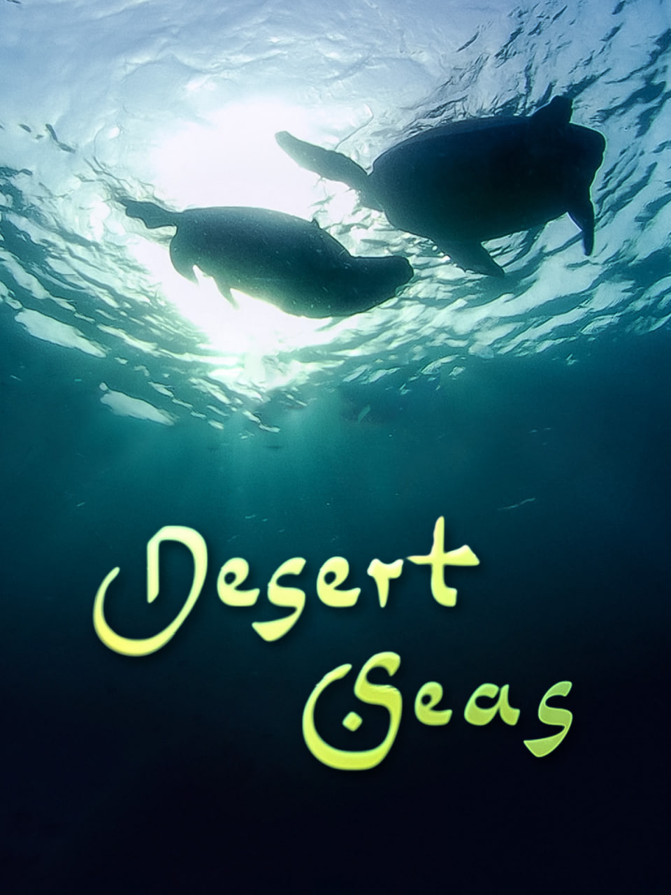 布拉芙夫人 在线观看